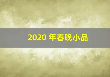 2020 年春晚小品